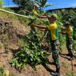 Optimalkan Lahan Kosong, Satgas Pamtas Yonarmed 11 Kostrad Wujudkan Pertanian Produktif di Perbatasan